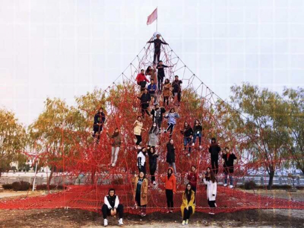魔力樹網(wǎng)