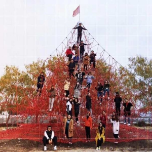 魔力樹網(wǎng)