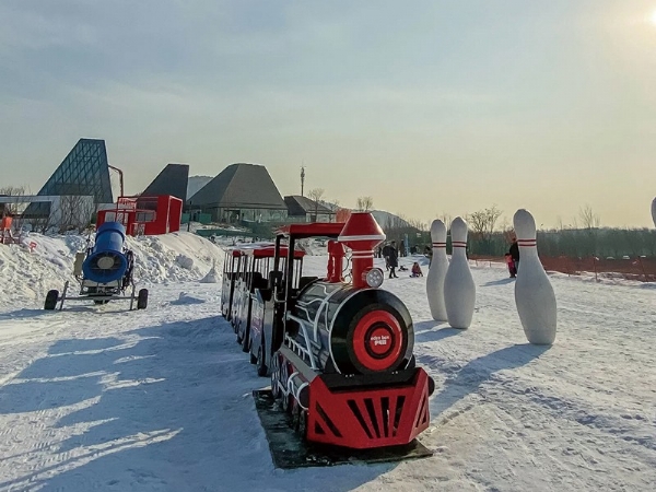 山東聊城市冰雪樂(lè)園